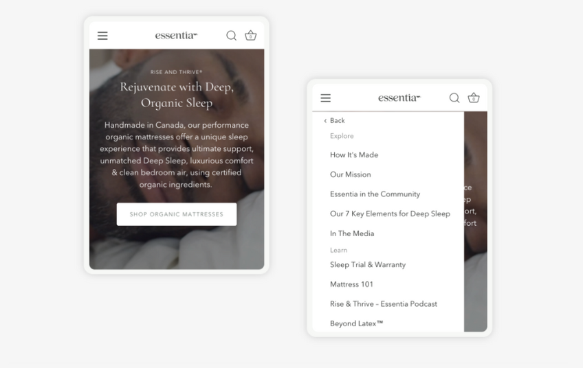 WebDesk Solution agency's portfolio